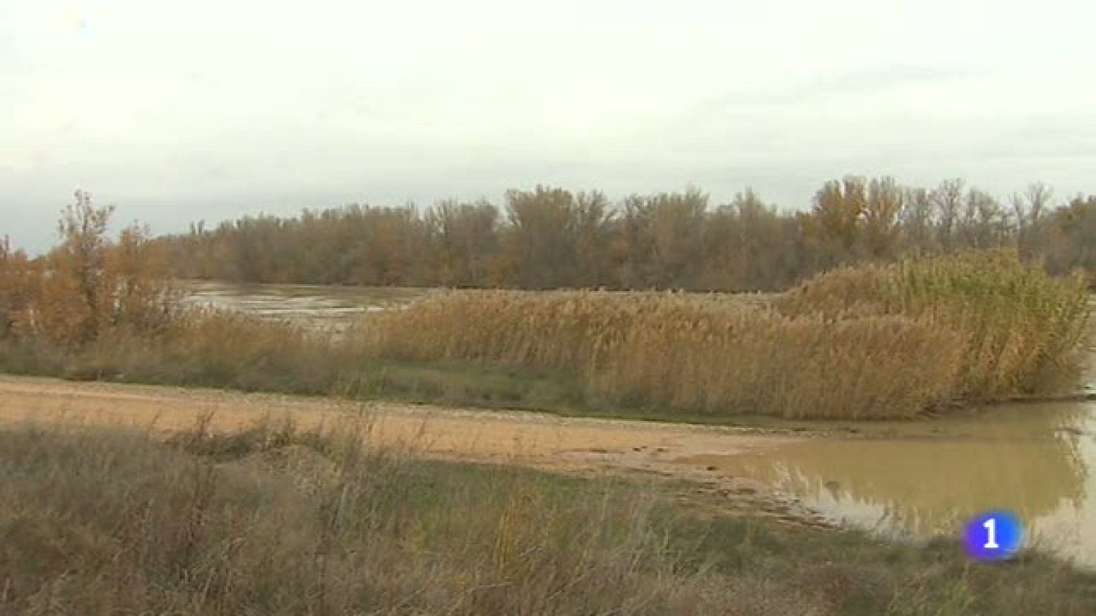 Aragón en 2' - 17/12/2019 | Ver