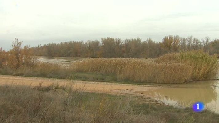 Noticias Aragón - Aragón en 2' - 17/12/2019