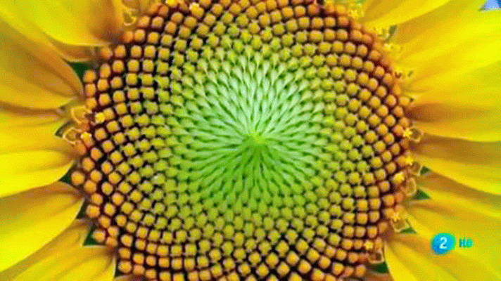 La aventura del Saber - ¿Por qué las dificultades con las matemáticas?