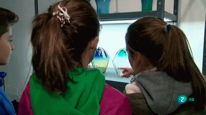 La aventura del Saber - Semana de la Ciencia en el MAVA