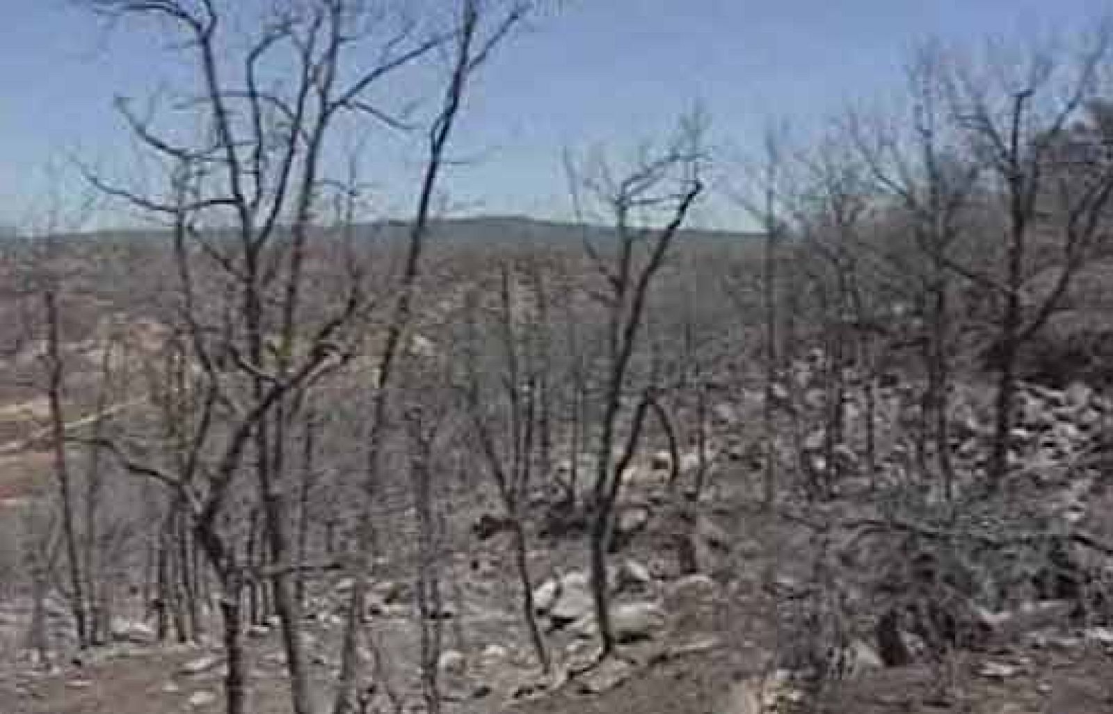 Telediario fin de semana en cuatro minutos - 18/07/09 | Ver