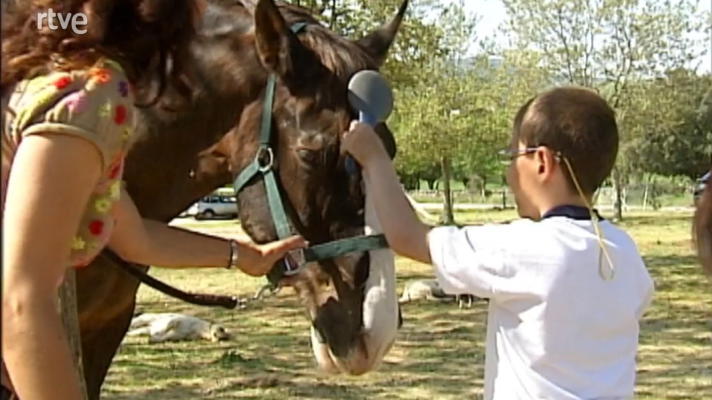 Escuela de padres en apuros - Superando barreras