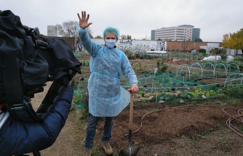 Aquí la tierra - Trucos para tener romero en casa