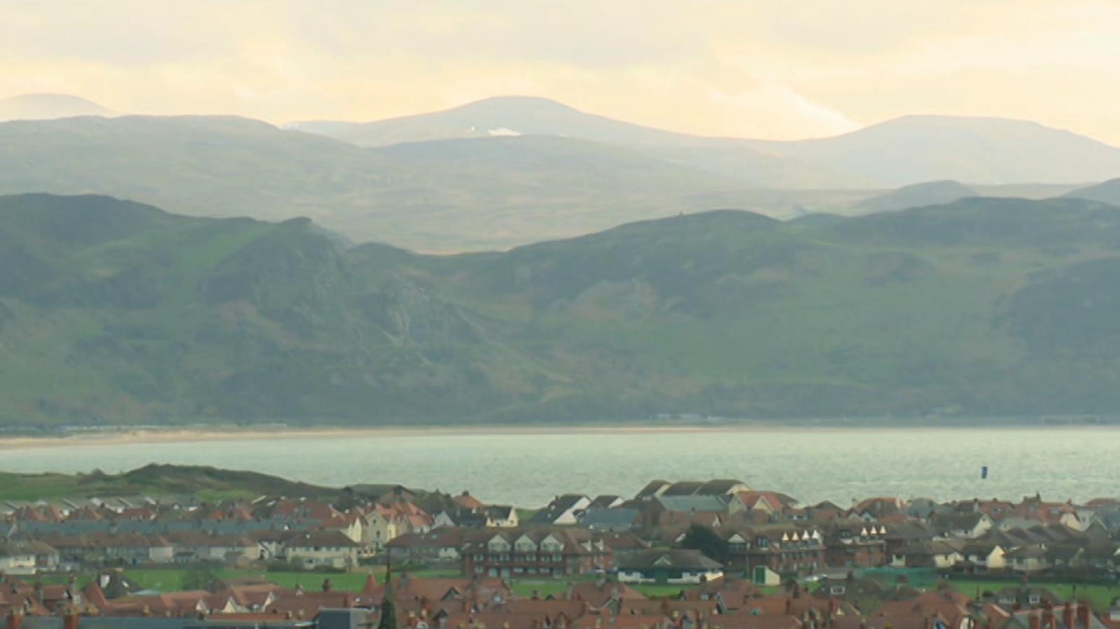 El escarabajo verde - Custodia verde - ver ahora