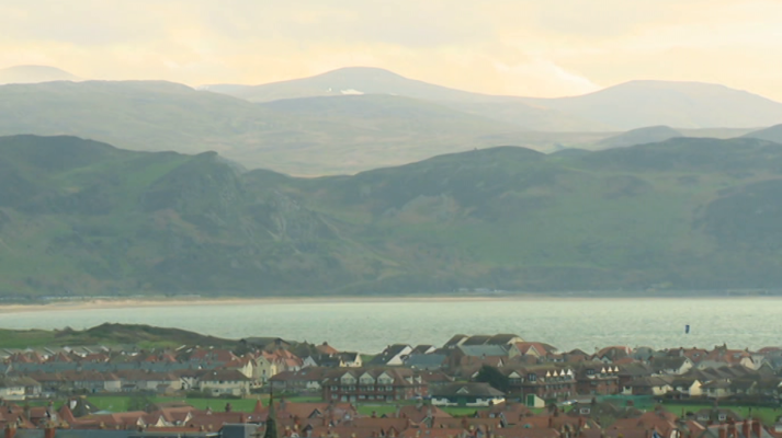 El escarabajo verde - Custodia verde