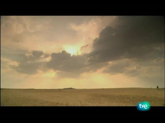 Nuestros caminos a Santiago - Camino francés 2