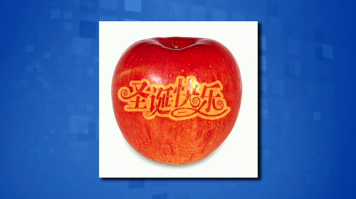 Saber y ganar - Saber y ganar - 24/12/19