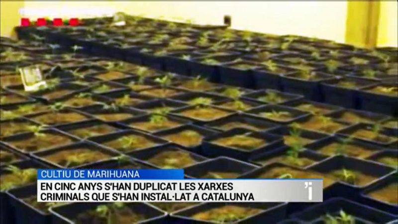 L'Informatiu 26/12/2019