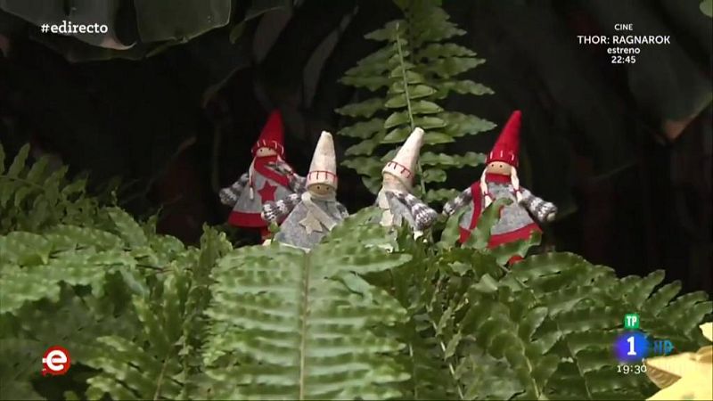 España Directo - Los Patios de Córdoba, más navideños que nunca