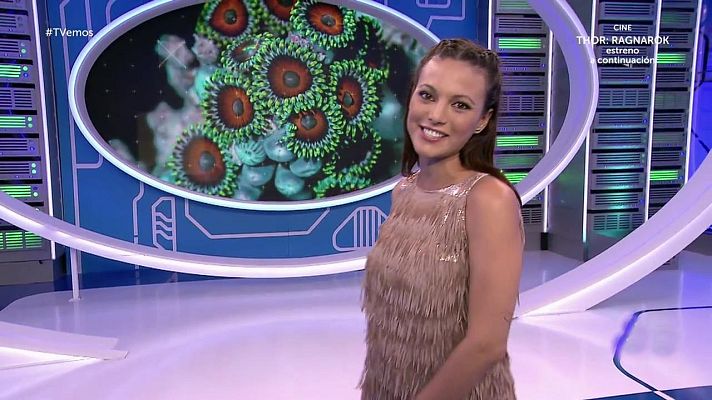 Tvemos - Tvemos - 26/12/19