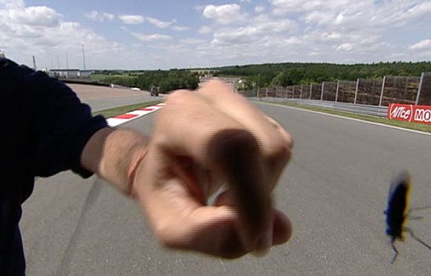  - El bichito de Sachsenring