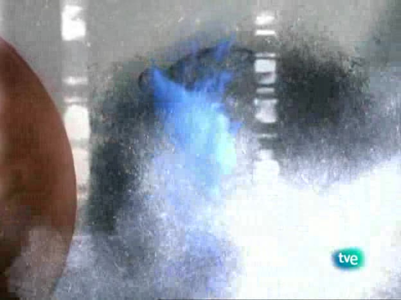 tres14 - Juli Peretó - tres14 | Ver