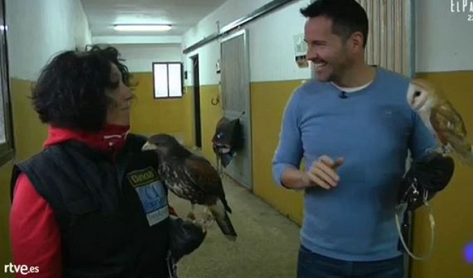 Aquí la Tierra - Animales que ayudan a la vida