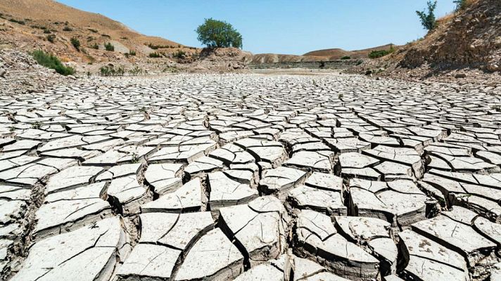 Informe Semanal - Por un futuro verde