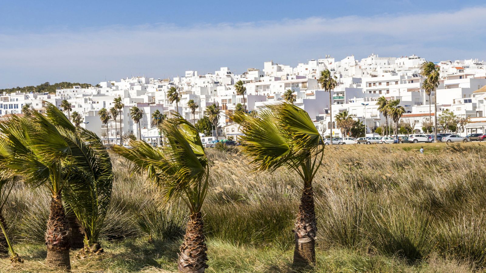 Viento fuerte en el Estrecho y sur de Cádiz - Ver ahora