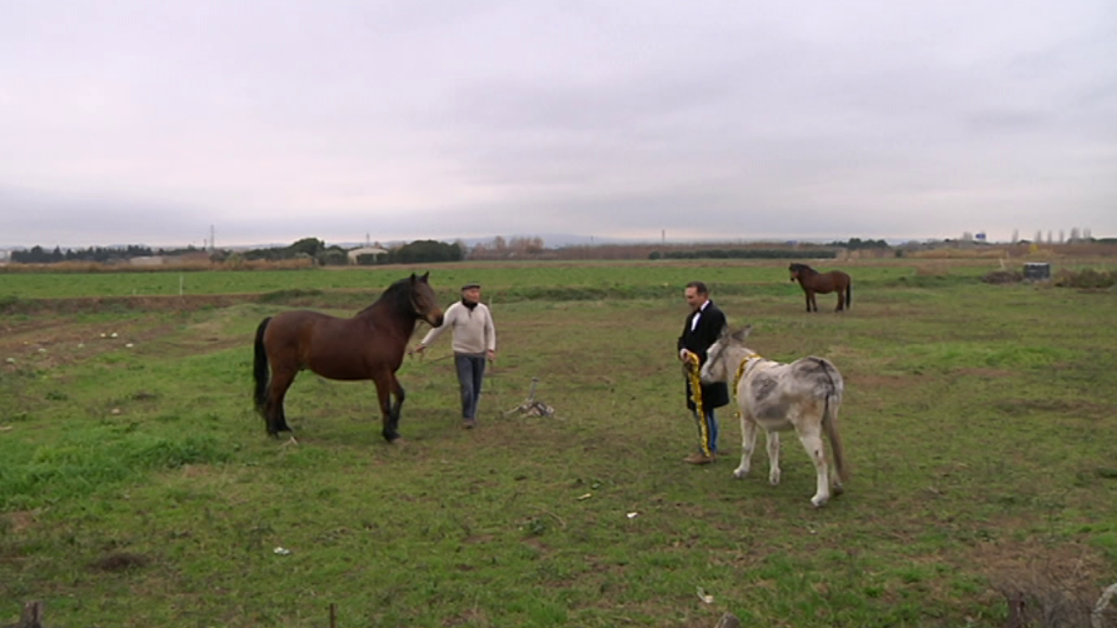 Aquí la Tierra - 29/12/19 - ver ahora