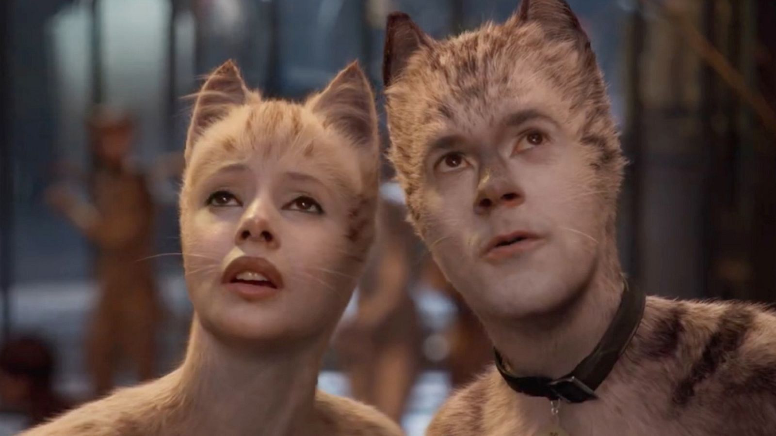 'Cats'