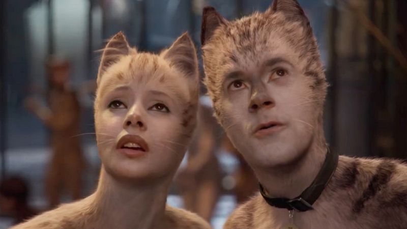 'Cats'