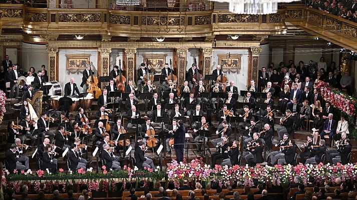 Concierto de Año Nuevo - Concierto de Año Nuevo 2020