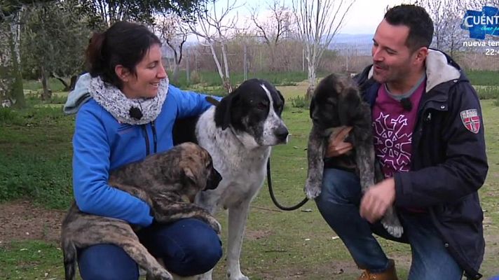 Aquí la Tierra - Conciénciate antes de regalar animales: no son un juguete