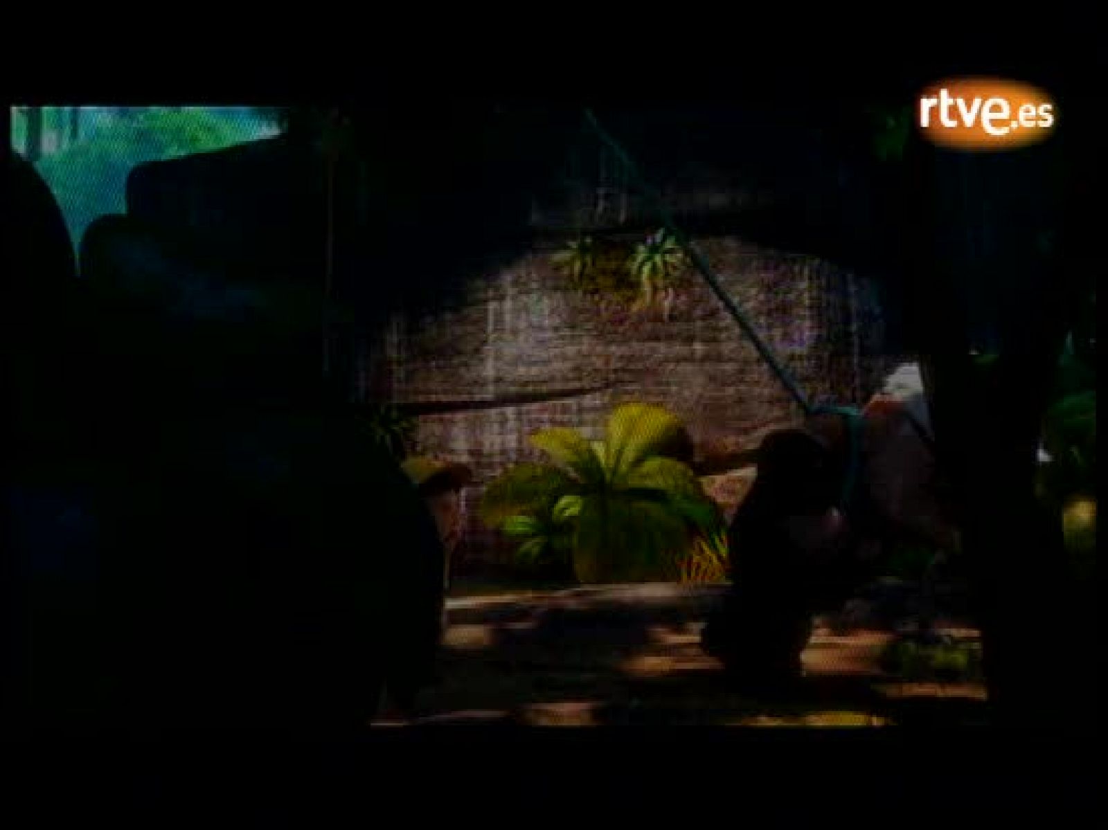 Días de cine - 'UP': ¡Estoy cansado! | Ver