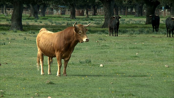 Tendido cero - Tendido cero - 04/01/20