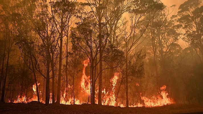 Telediario 1 - Los incendios en Australia ya se han cobrado la vida de 23 personas
