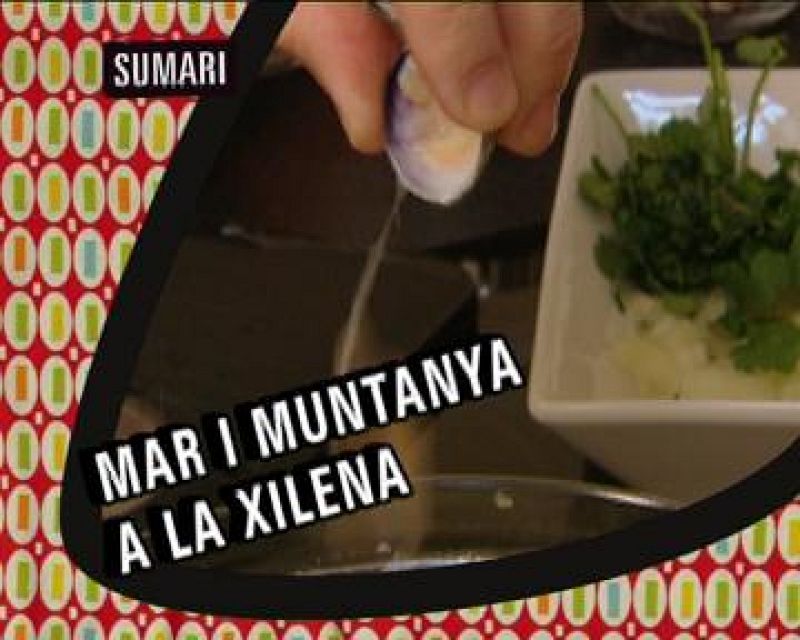 Els nous catalans - La cuina: Xile: Mar i muntanya