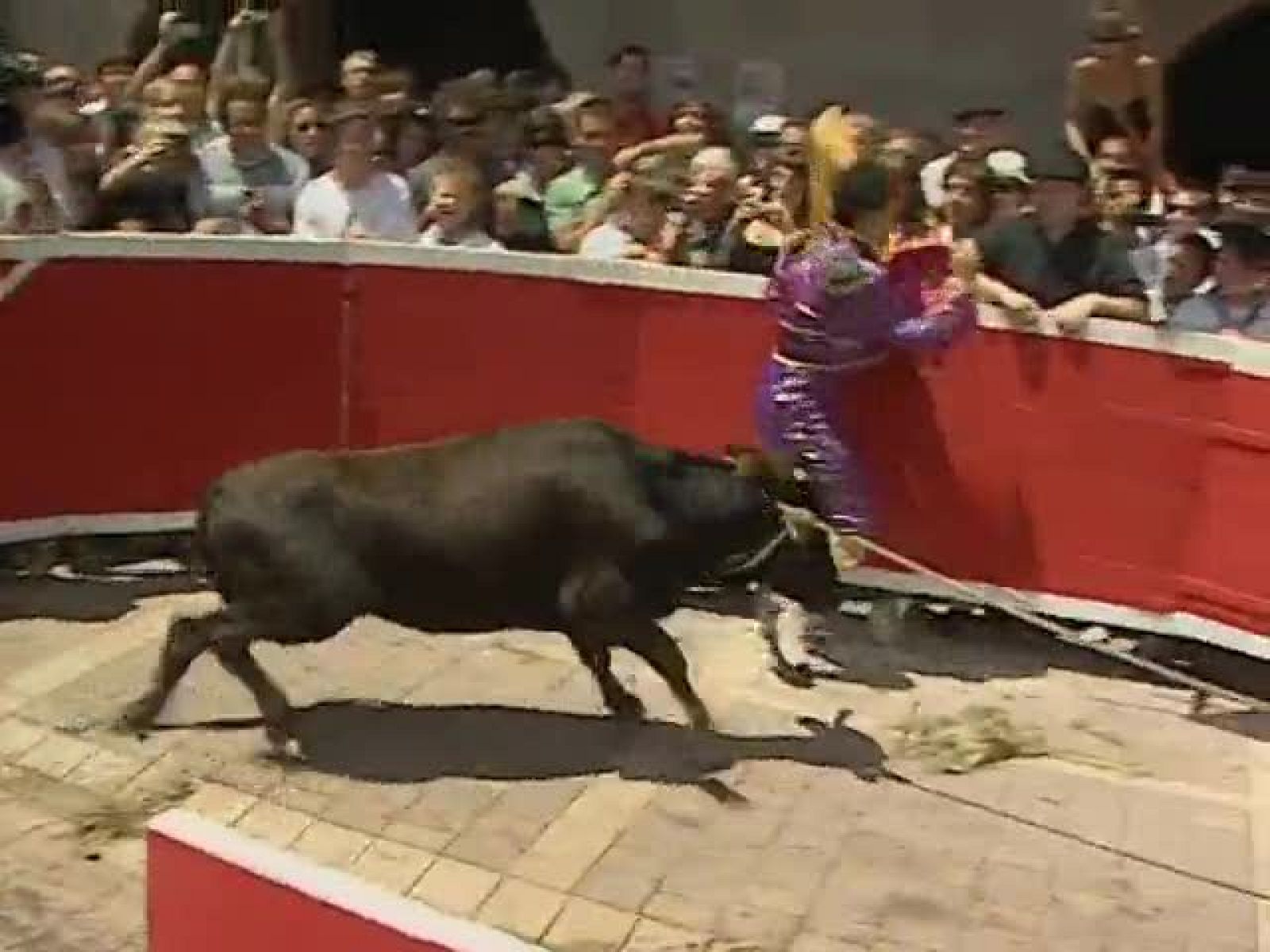 Telenavarra.Informativo Territorial de Navarra. (20/07/09)