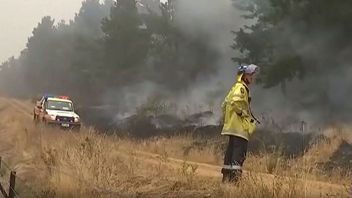 Telediario 1 - Las estrellas australianas del cine se movilizan y piden ayuda para Australia