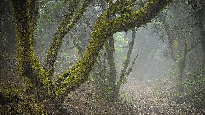 El tiempo - La niebla persiste en zonas del interior, con pocas nubes en general