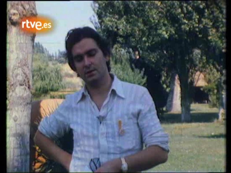 Popgrama - 10 aniversario del concierto de Woodstock