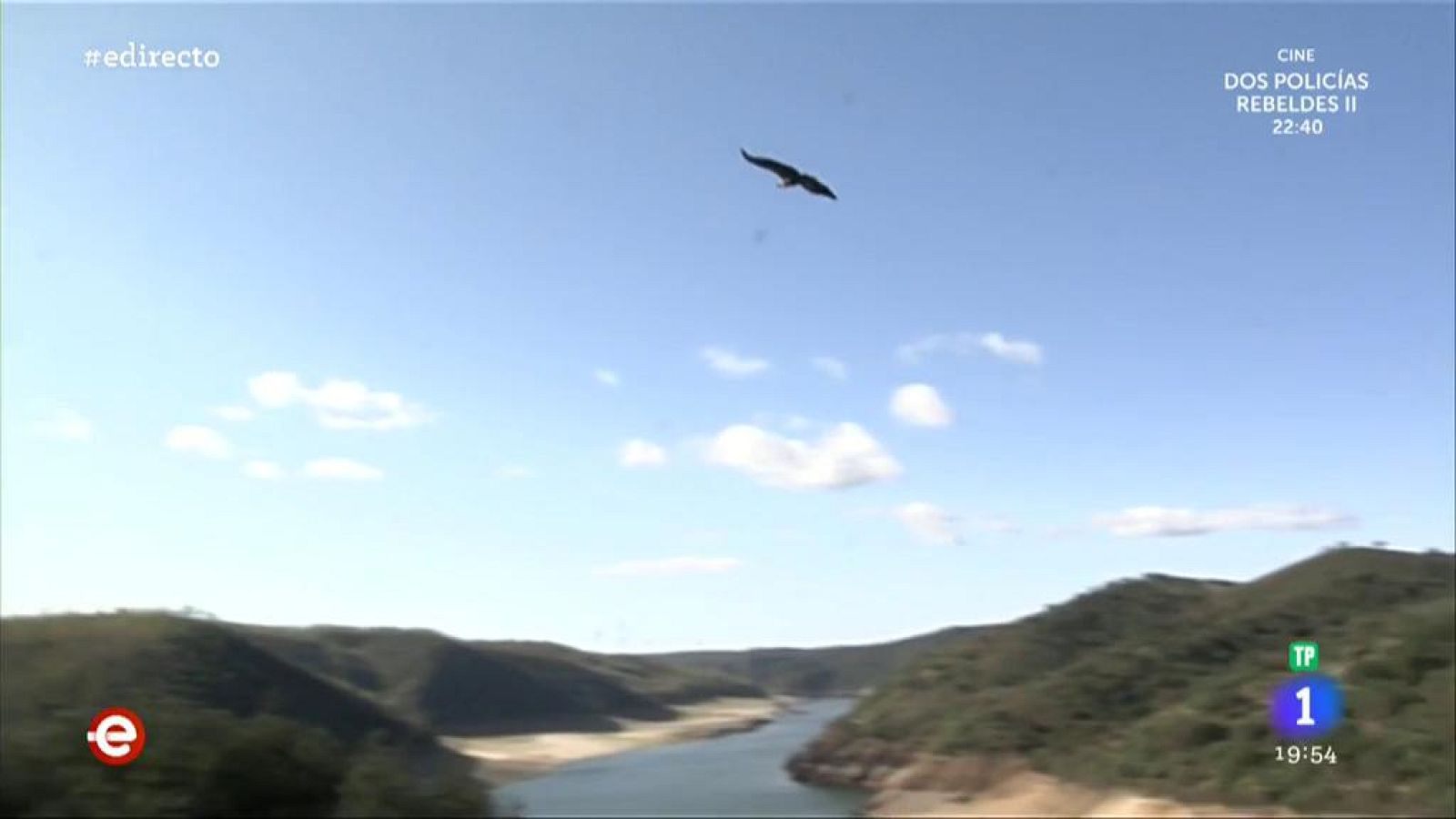 El Parque Nacional de Monfragüe, un paraíso para los buitres - España Directo | Ver