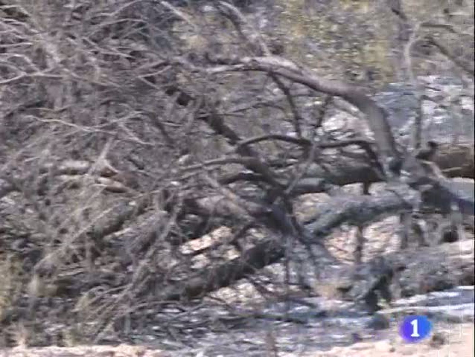 Noticias de Aragón. Informativo Territorial de Aragón. (20/07/09)