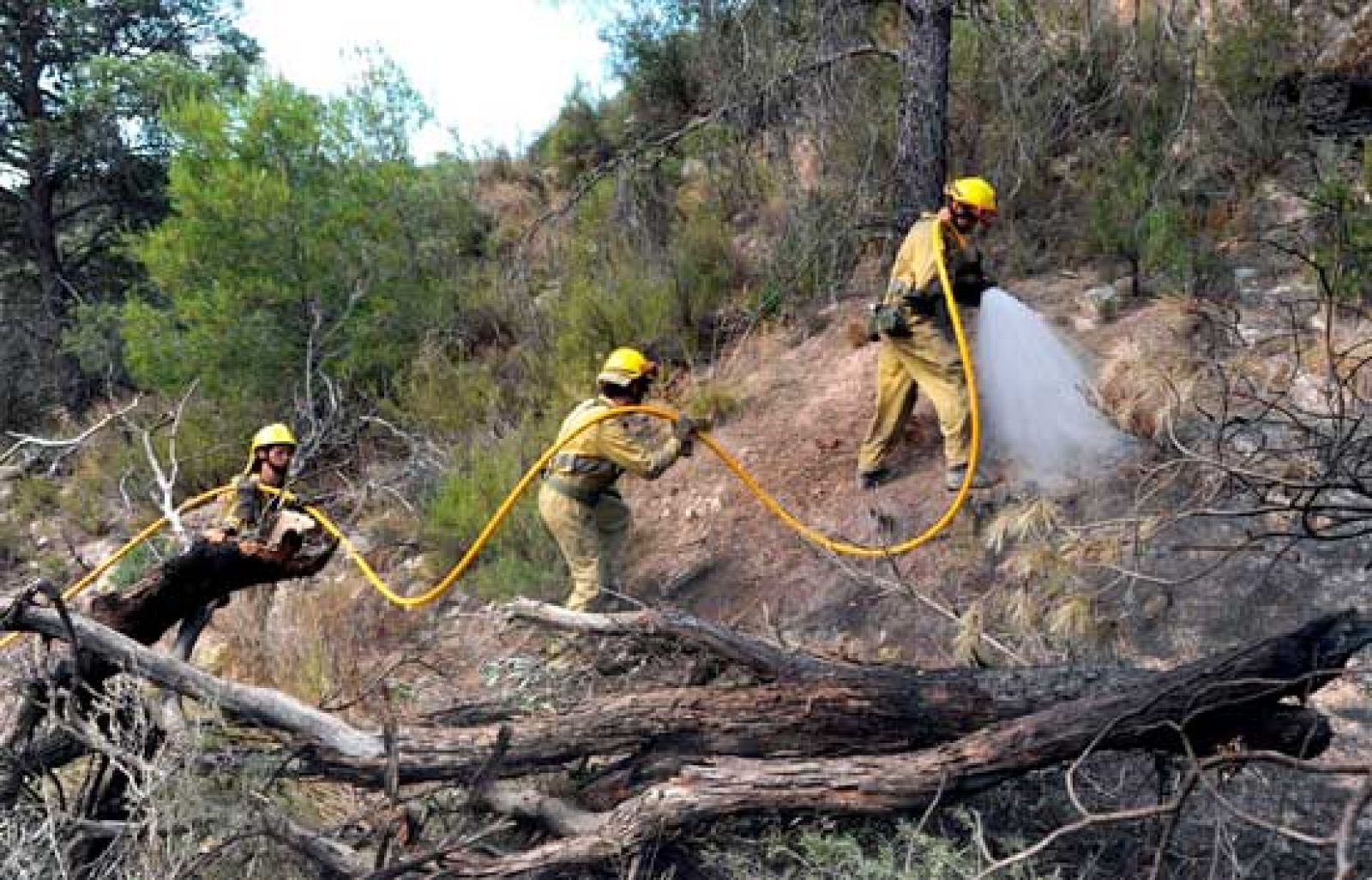 Incendios en Tarifa y Zaragoza - Ciencia y tecnología en Rtve.es | Ver