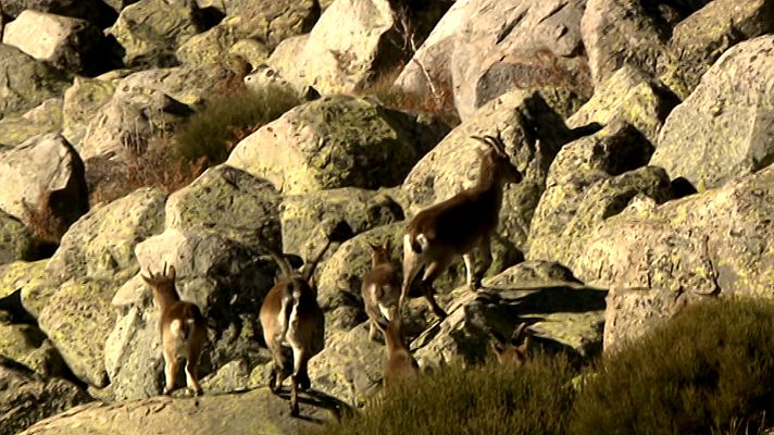 Jara y sedal - La Sierra