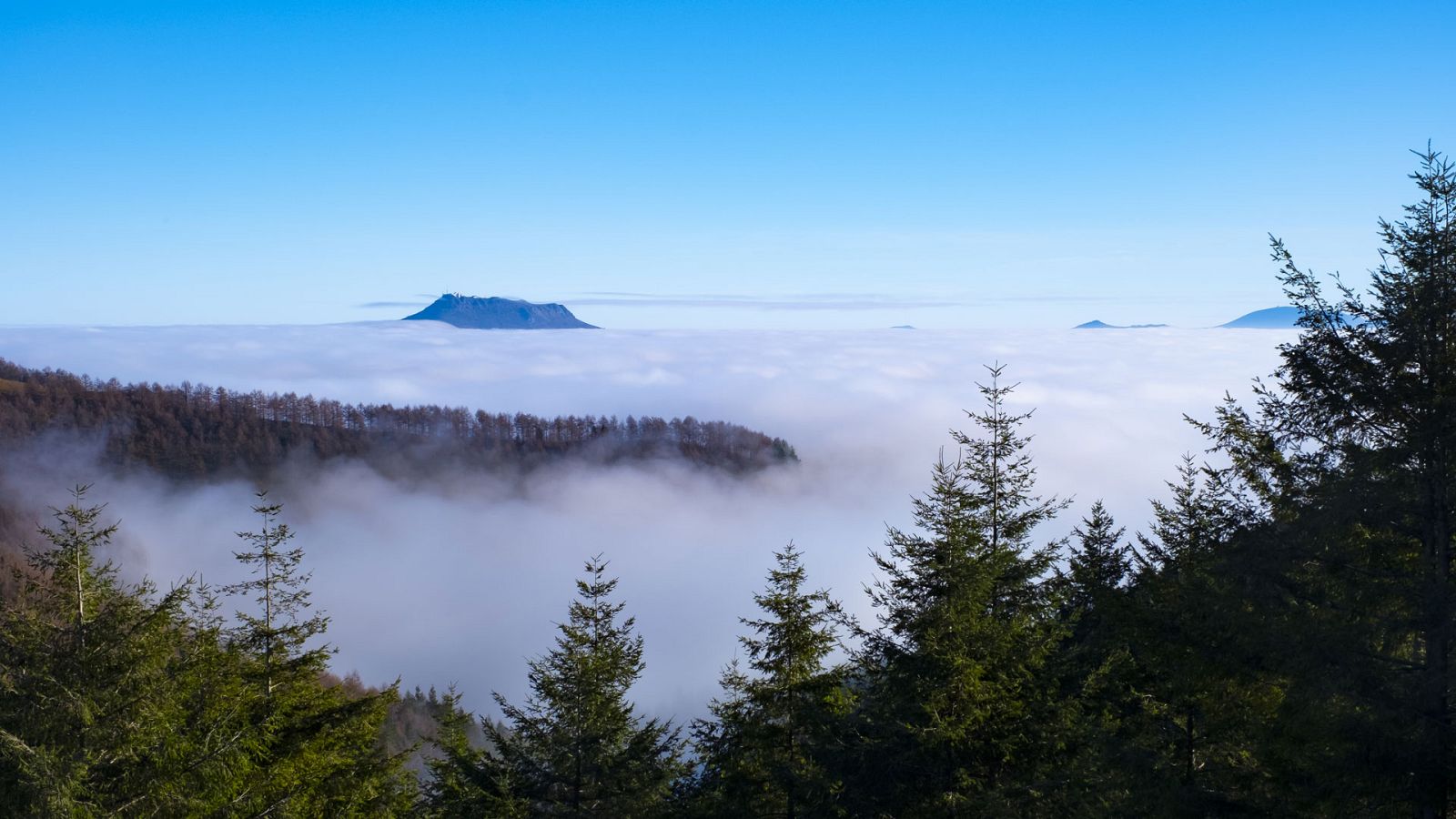 Nieblas persistentes en el valle del Duero - ver ahora