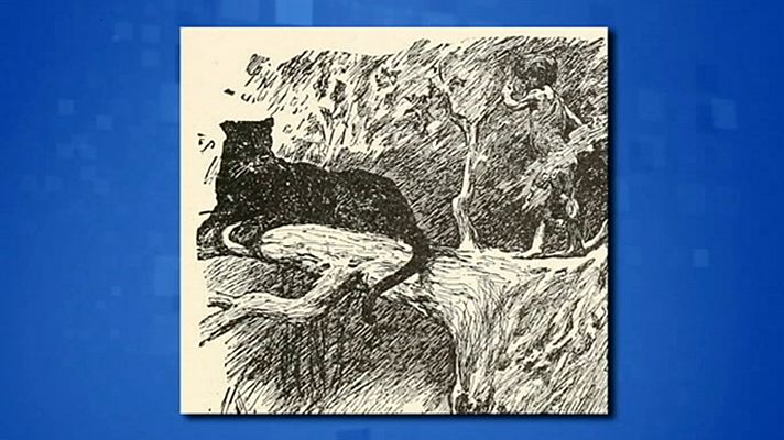 Saber y ganar - Saber y ganar. Edición fin de semana - 12/01/20