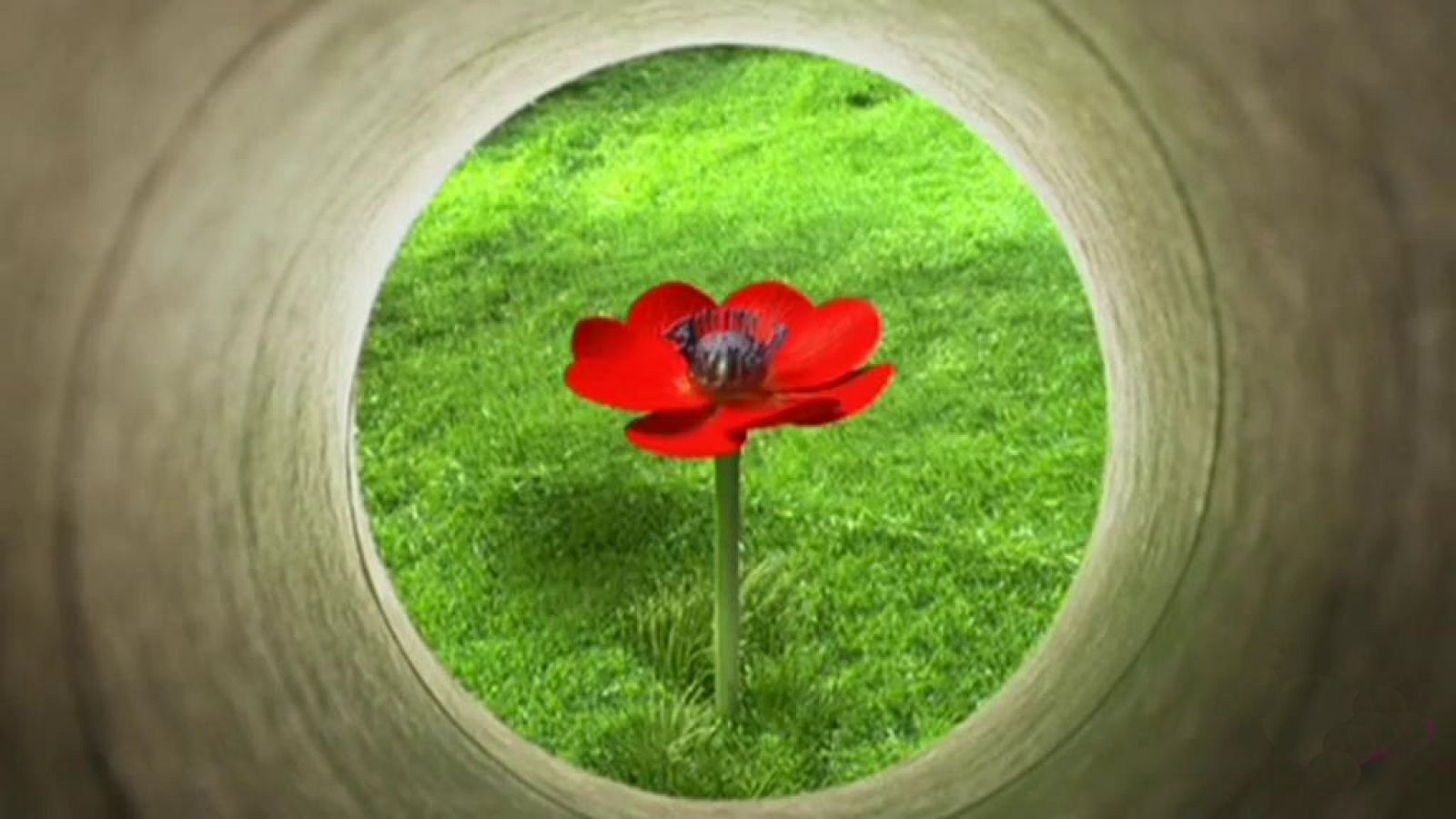 Teletubbies - Cosas - RTVE.es - Teletubbies | Ver