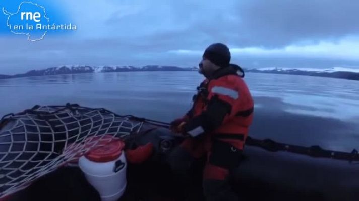  - RNE en la Antártida | Día 5: Isla Decepción