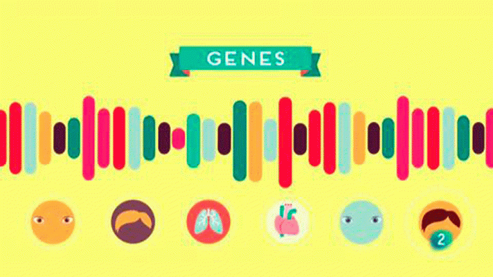 La aventura del Saber - ¿Hay diferencias entre personas con los mismos genes?