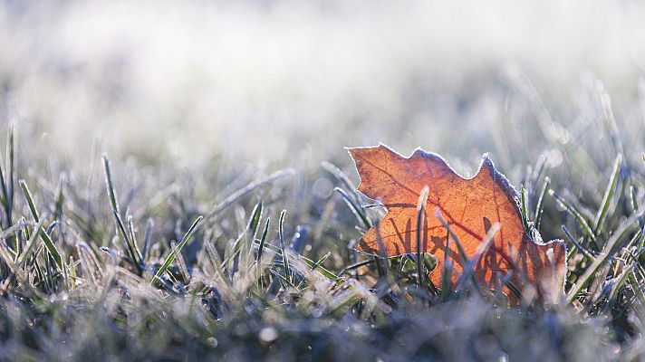 El tiempo - Heladas localmente moderadas en el interior peninsular