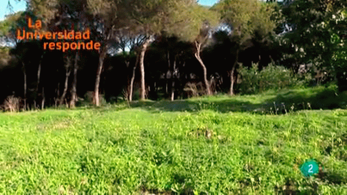 La aventura del Saber - ¿Podemos considerar el suelo como un ente natural vivo?