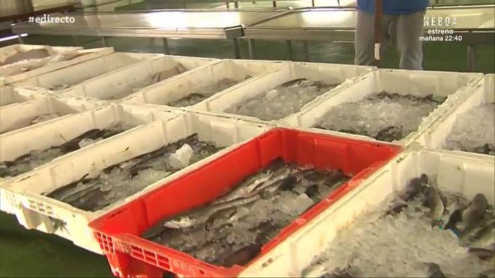 España Directo - España Directo - 14/01/20