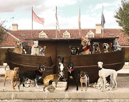 Para todos La 2 - La Fundación El Arca de Noé promueve la adopción de animales