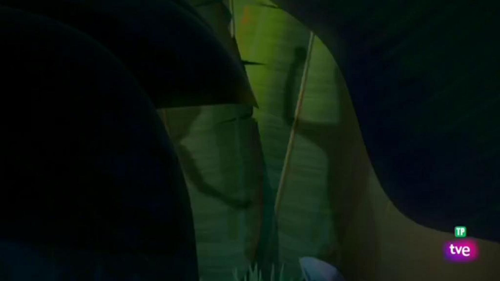 Viva el Rey Julien   - El buen libro - RTVE.es - Viva el rey Julien | Ver