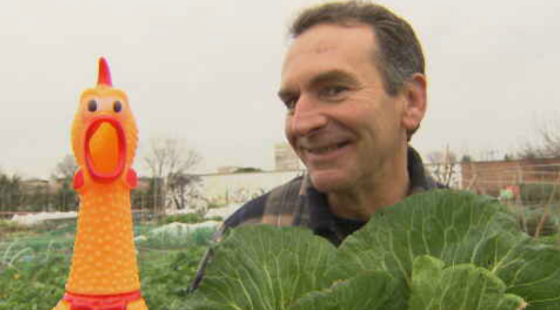 Marchando un doble repollo