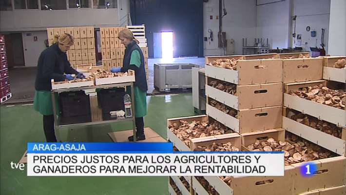 Informativo Telerioja - Informativo Telerioja - 16/01/20