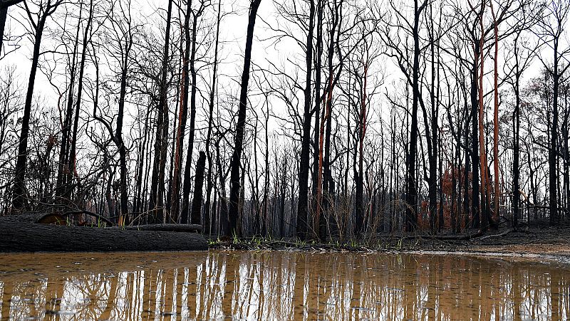La lluvia alivia los fuegos en Australia, aunque ahora preocupan las inundaciones
