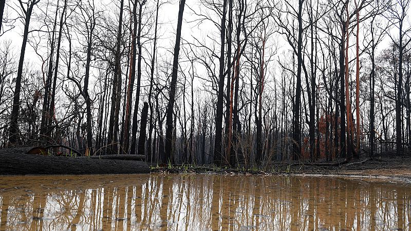 La lluvia, gran aliada contra los incendios en Australia